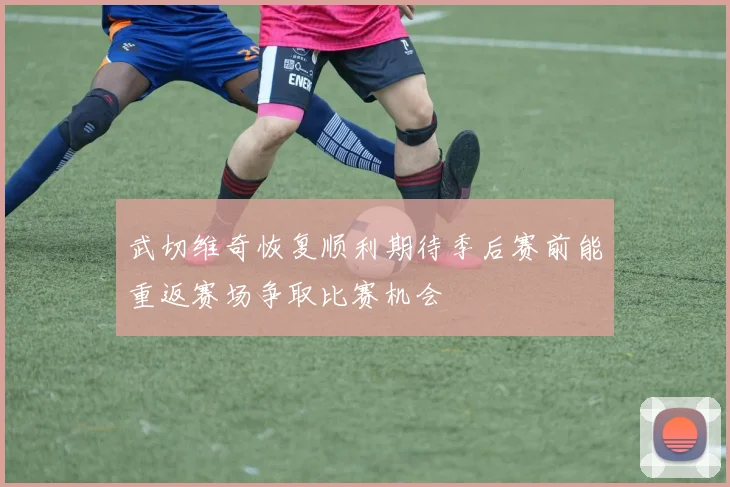 武切维奇恢复顺利期待季后赛前能重返赛场争取比赛机会